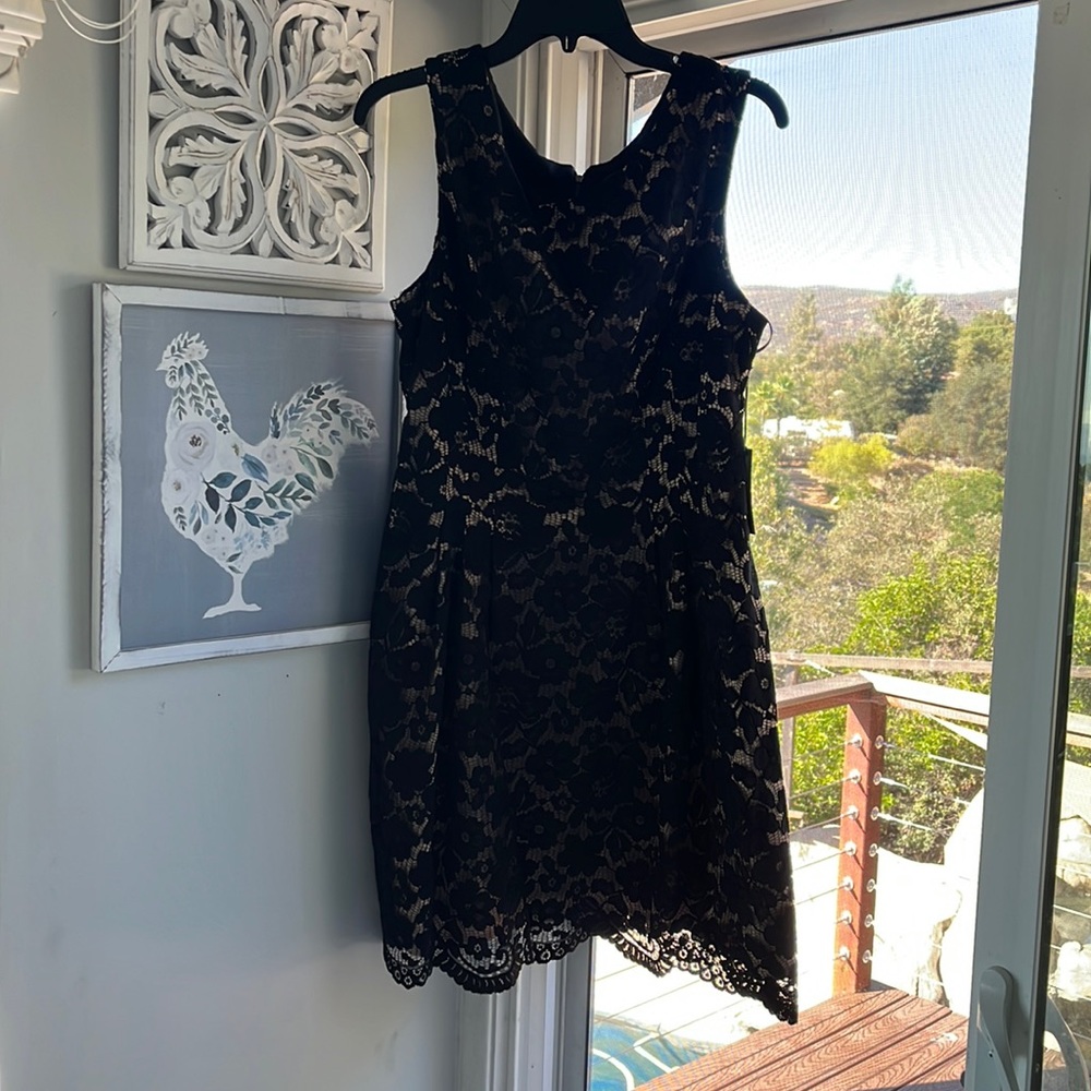 NWT black and nude lace dress